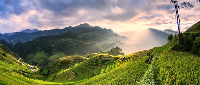 Vietnam